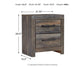 Drystan Full Panel Bed with 2 Storage Drawers with Mirrored Dresser, Chest and Nightstand